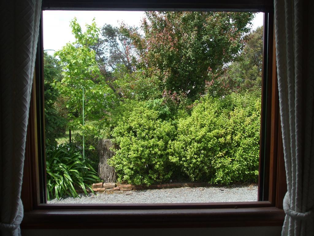 Villa In The Vines Martinborough Exterior photo